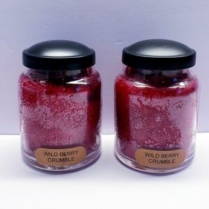 WILD BERRY CRUMBLE -A Cheerful Giver Baby Jar Single Wick Candle, 6 oz (2 pack)